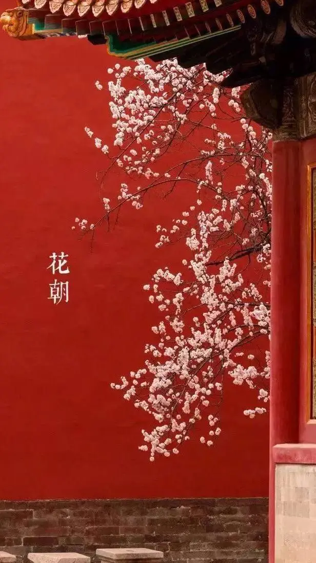 ai character: china [ prt 26 ❤] background