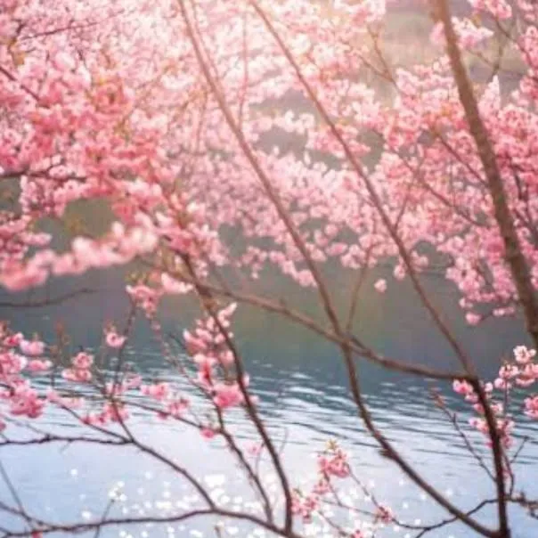 chat with ai character: china [prt 52 🦢🌸🌺]