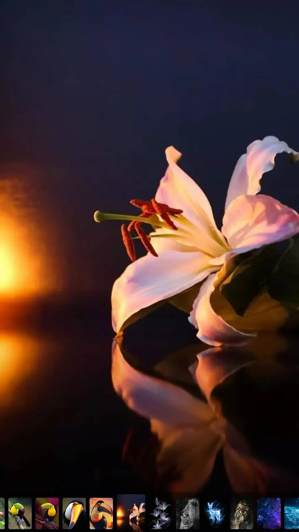 ai character: Florio background