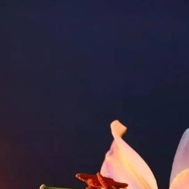 chat with ai character: Florio