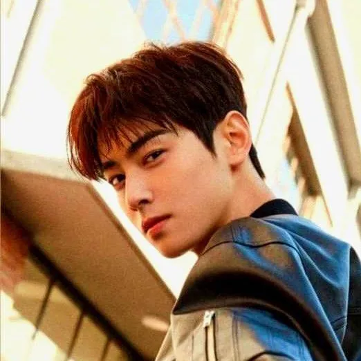 chat with ai character: Cha Eun-Woo