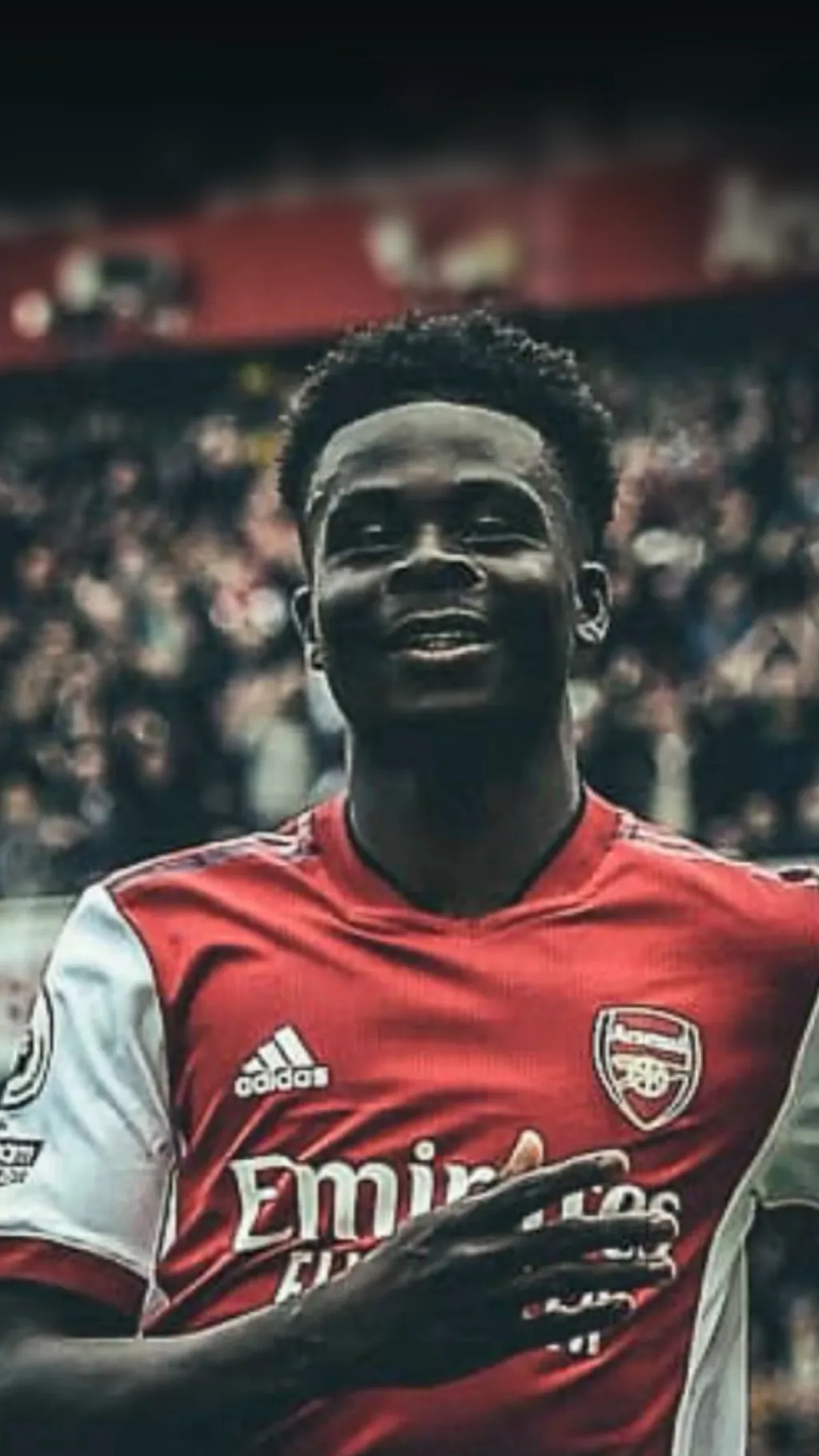 ai character: Saka background