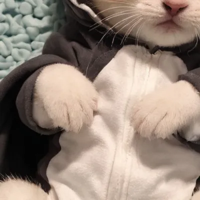 chat with ai character: Baby 