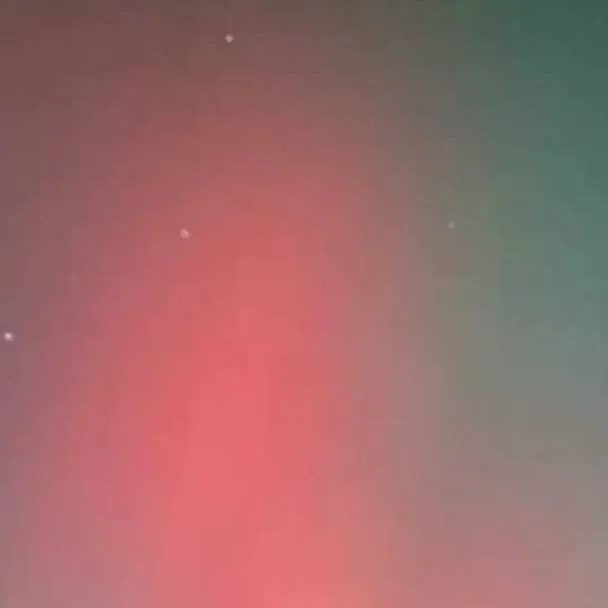 chat with ai character: cod