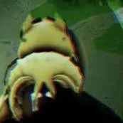 chat with ai character: .????? 