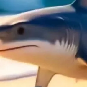 chat with ai character: tralalero tralala