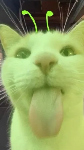 ai character: Alien cat :3 background