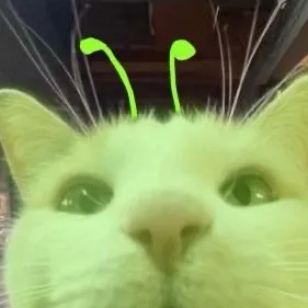 chat with ai character: Alien cat :3