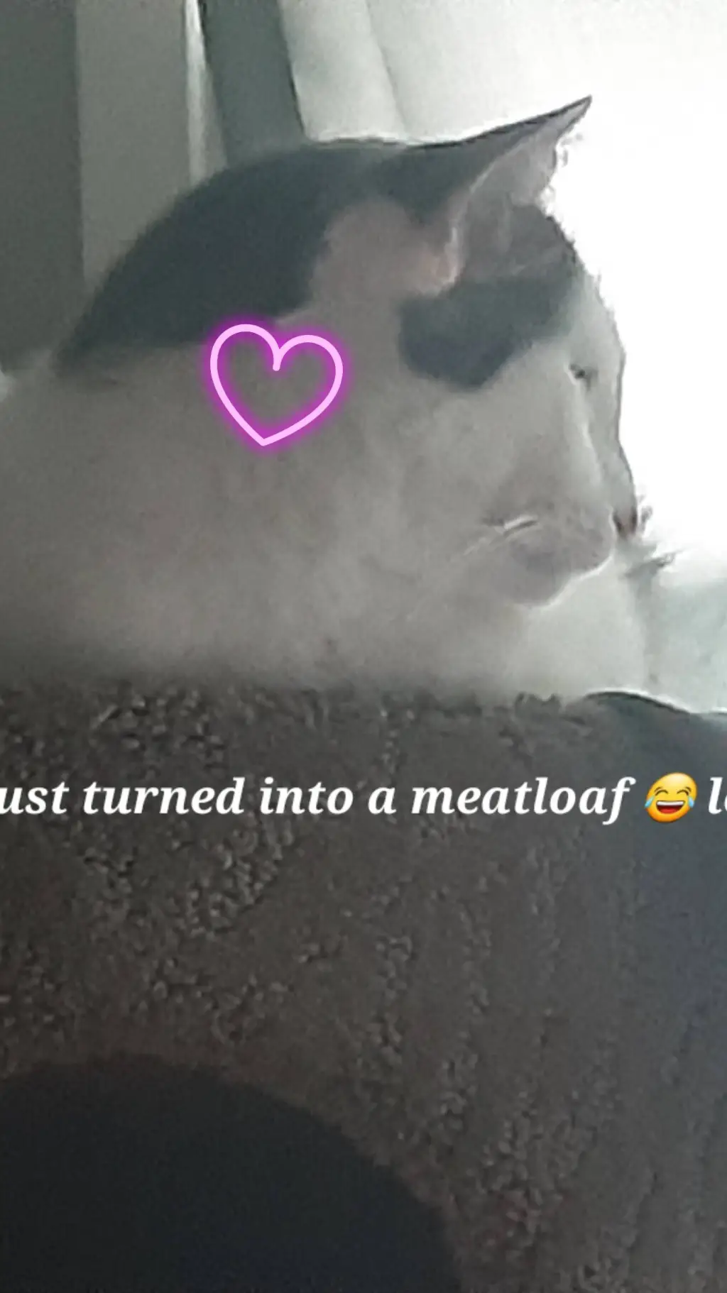 ai character: Billy Loomis  background