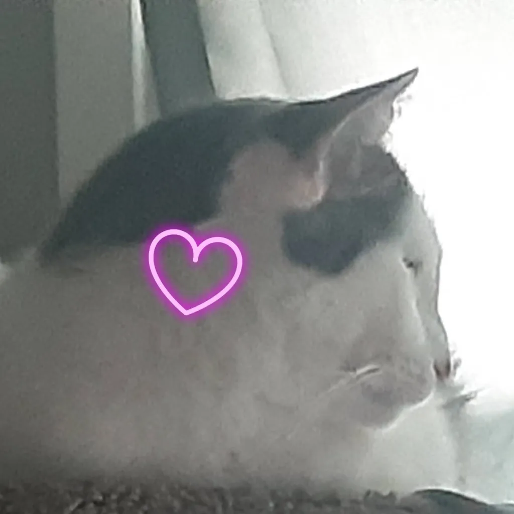 chat with ai character: Billy Loomis 