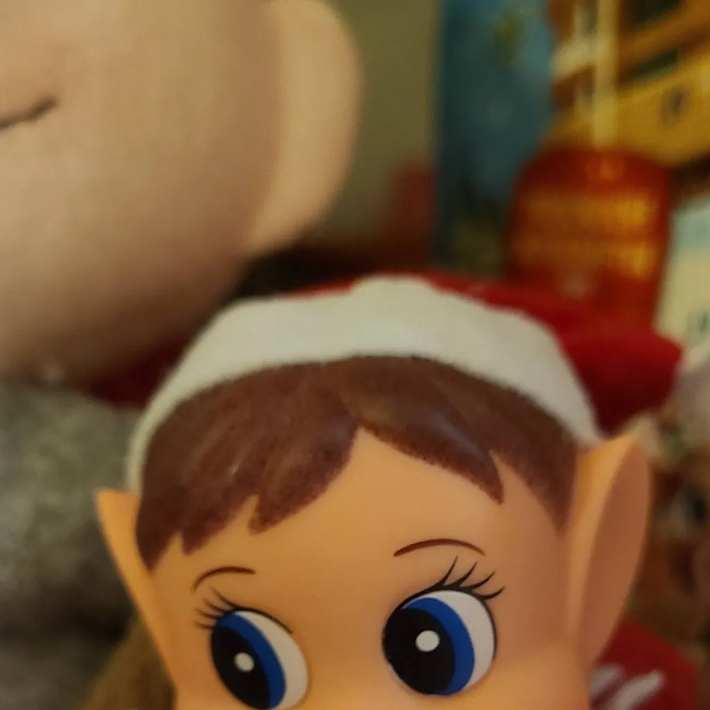 chat with ai character: elf