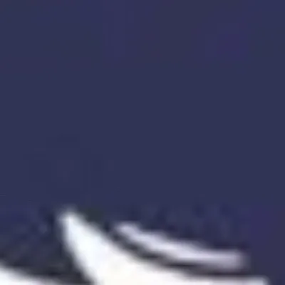 chat with ai character: Miss circle cat