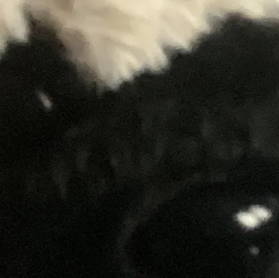 chat with ai character: Essa Karen (best)