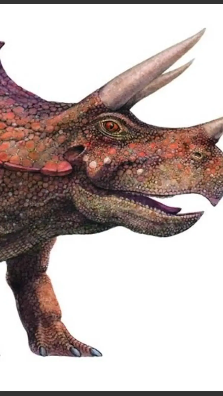 ai character: Triceratops background