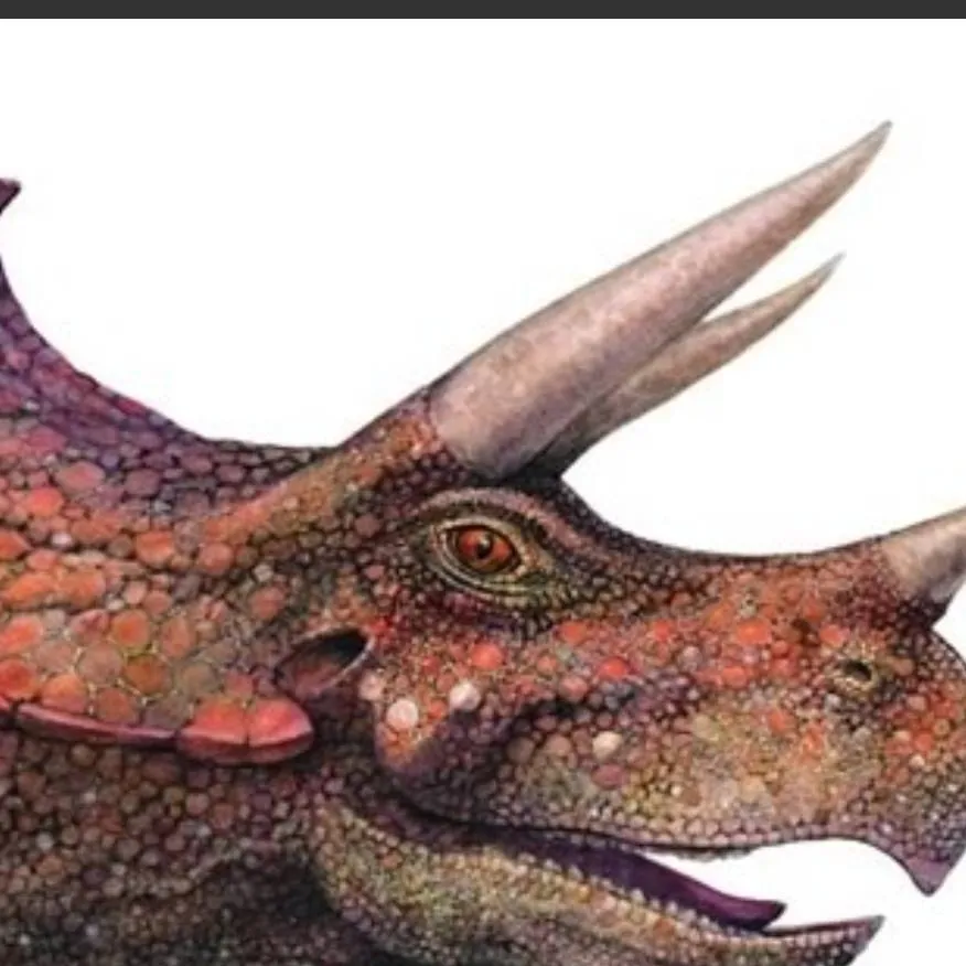 chat with ai character: Triceratops