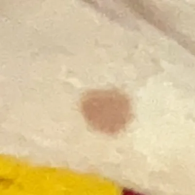 chat with ai character: Mhaxancient Egypt