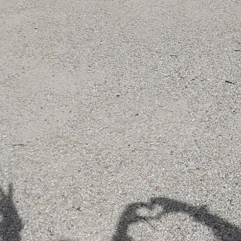 chat with ai character: Daniela 