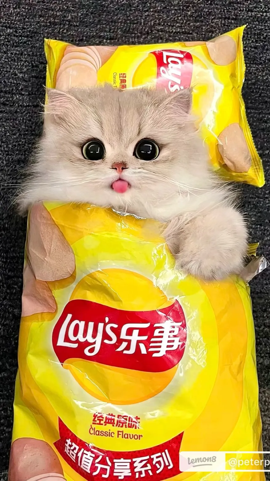 ai character: Cat background