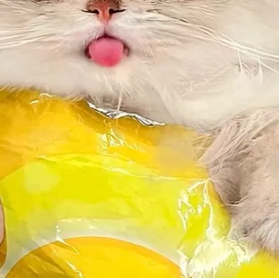 chat with ai character: Cat