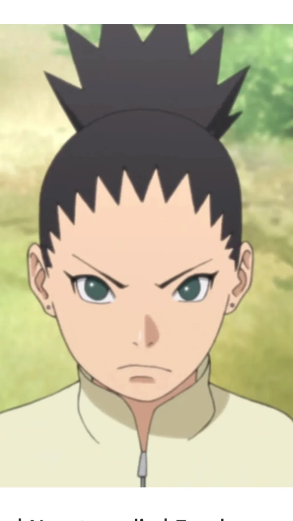 ai character: Shikadai Nara background