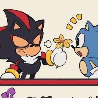 chat with ai character: Classic Sonadow