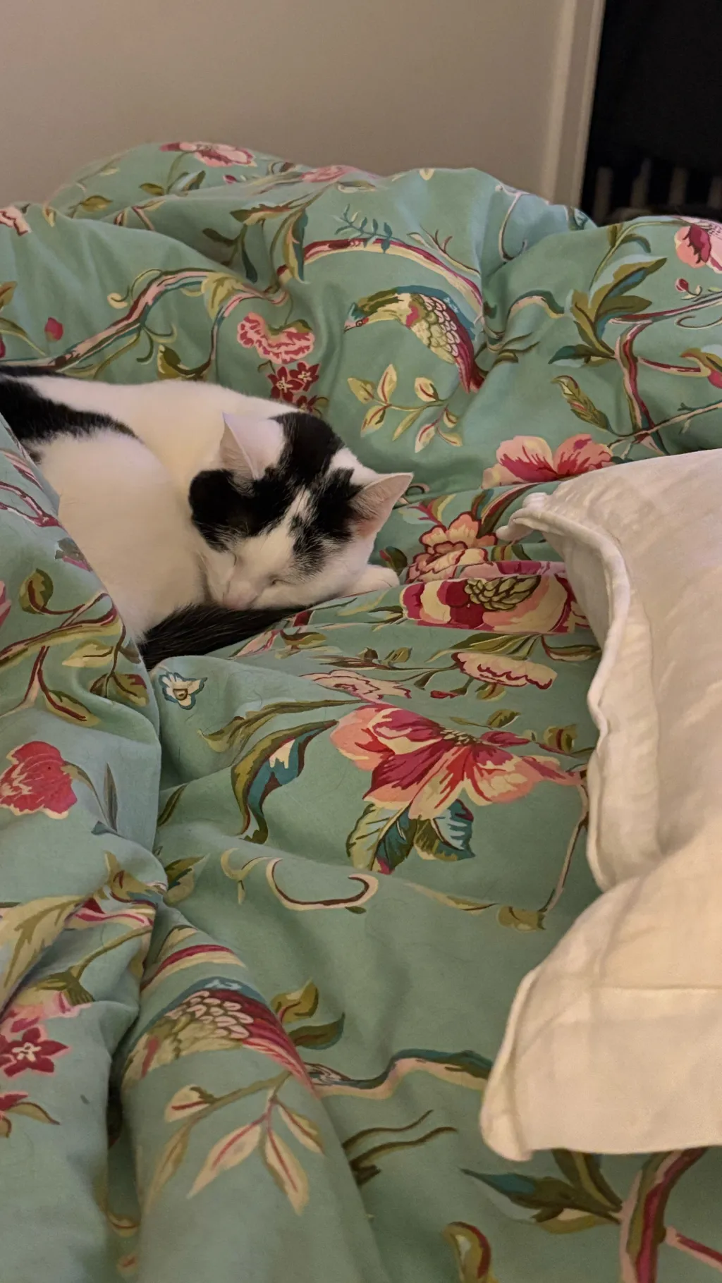 ai character: I’m back background