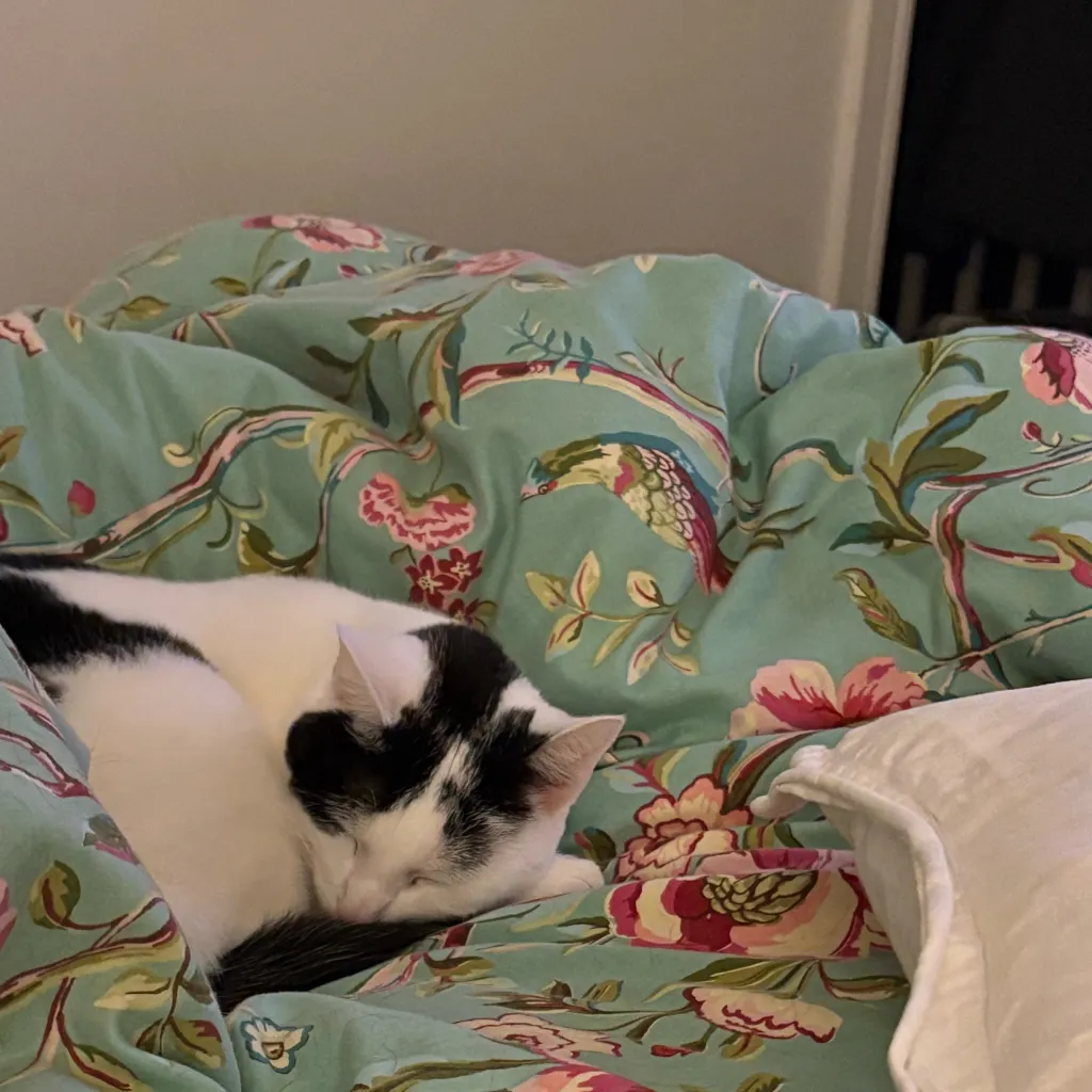 chat with ai character: I’m back