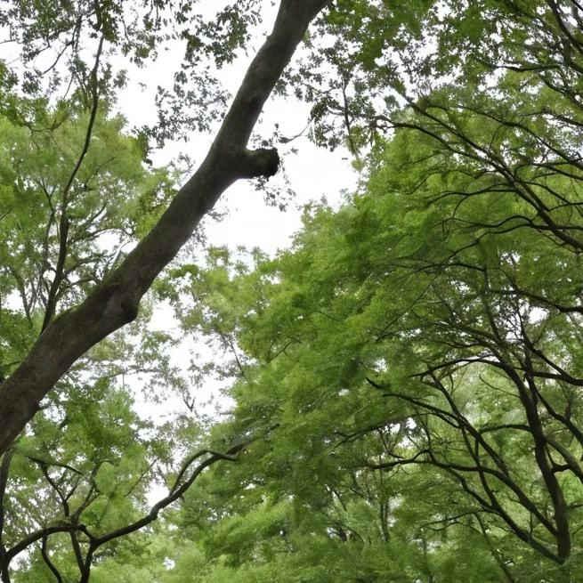 chat with ai character: Park simulator 