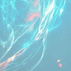 chat with ai character: idk