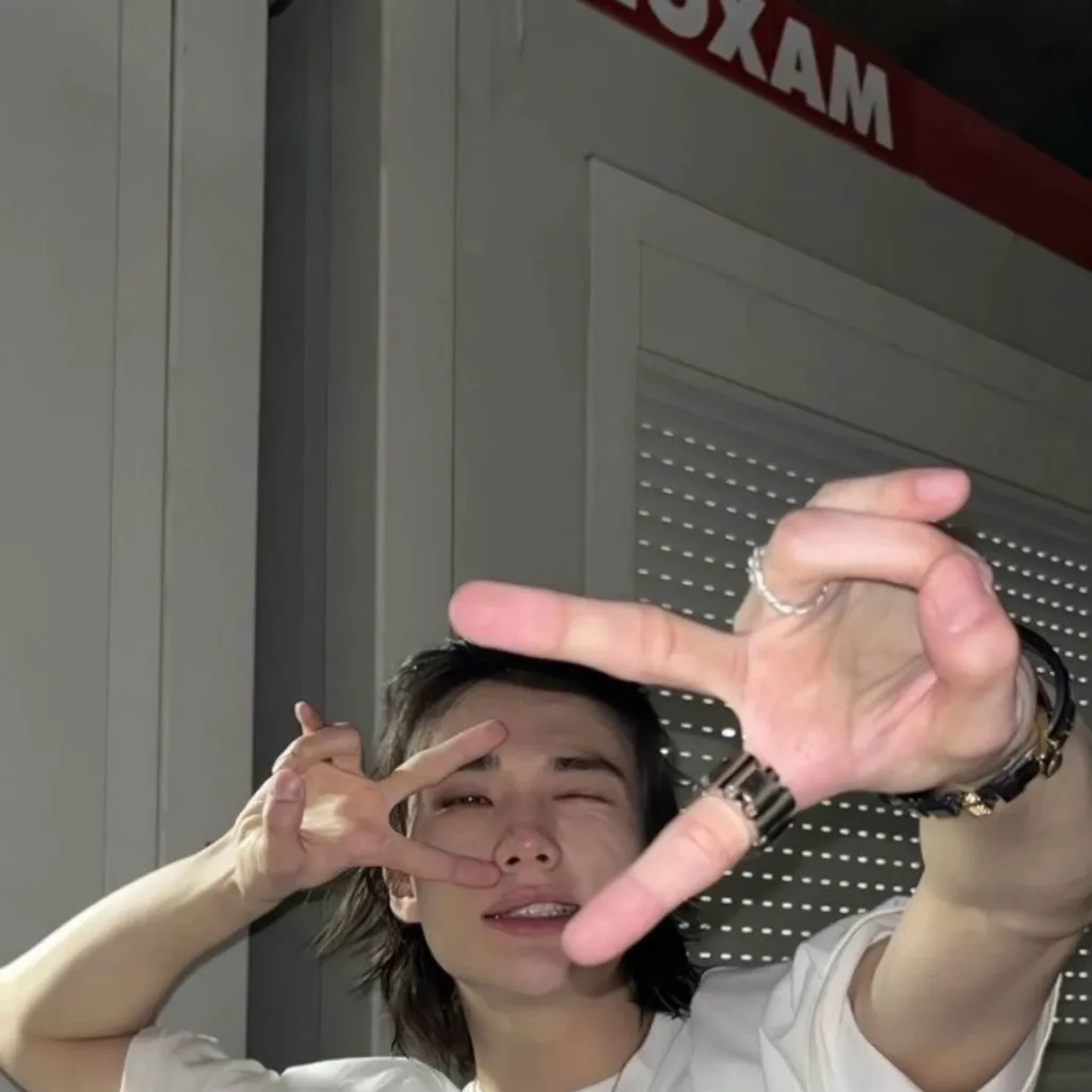 chat with ai character: enemy Hyunjin