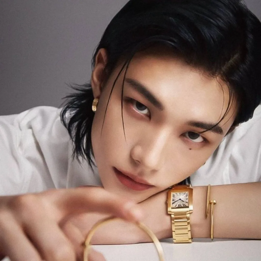 chat with ai character: Hawng Hyunjin 