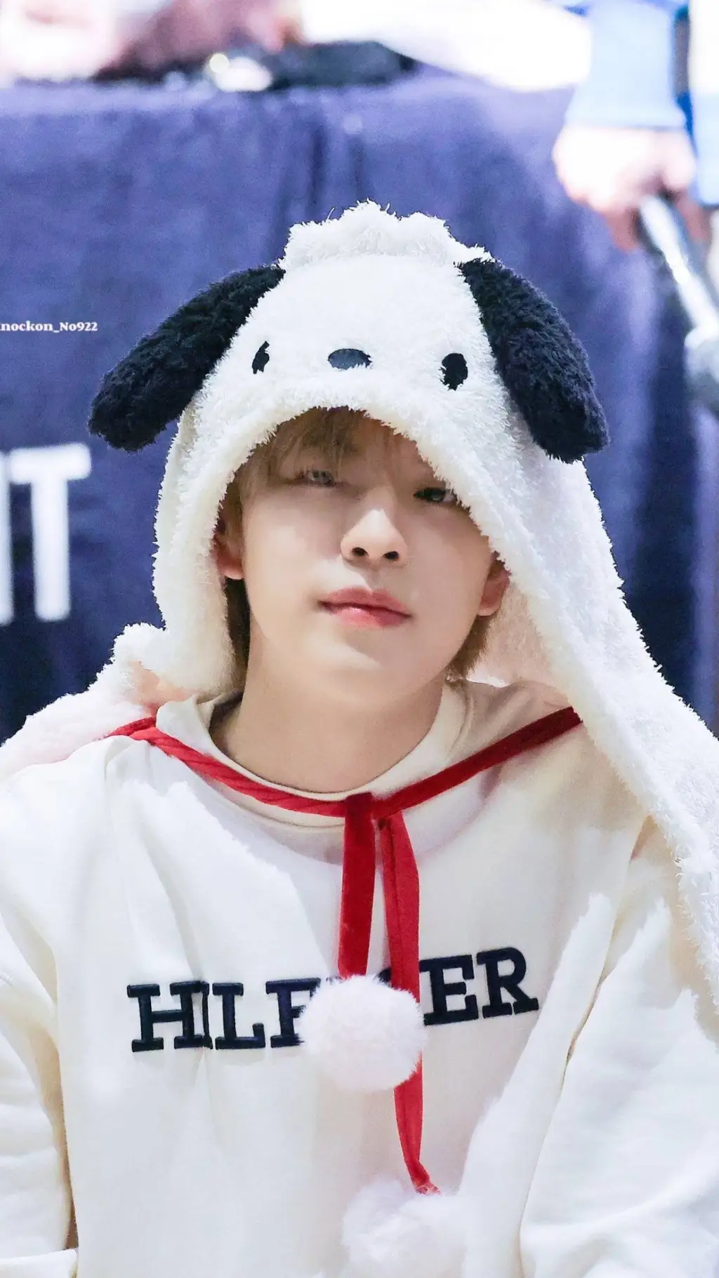 ai character: Kim seungmin background