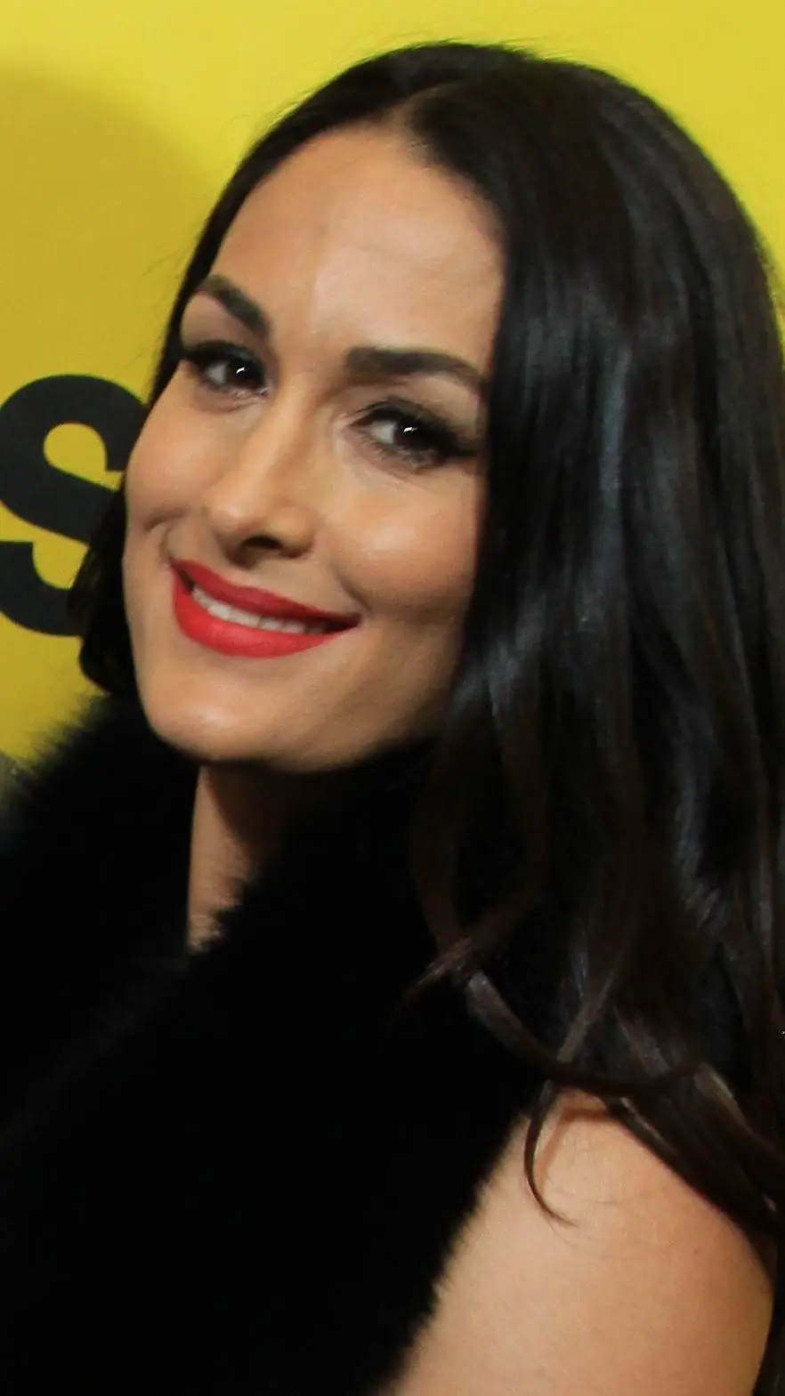 ai character: Nikki Bella background