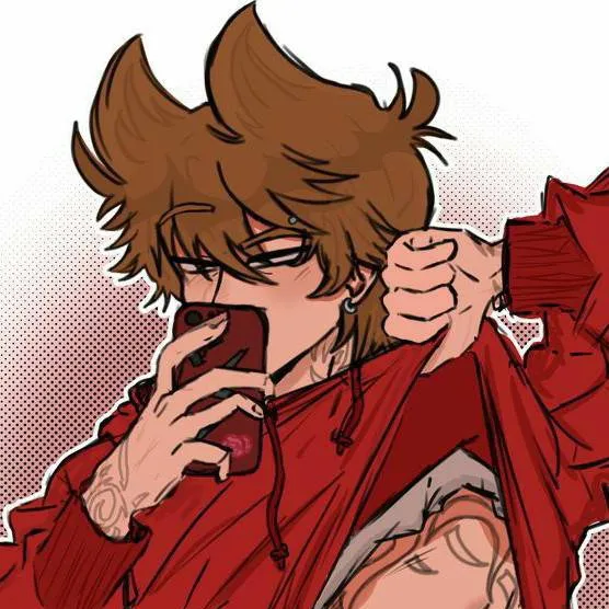 chat with ai character: •Tord•