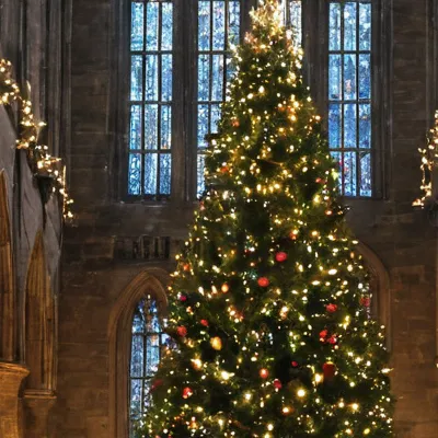 chat with ai character: Hogwarts Christmas 