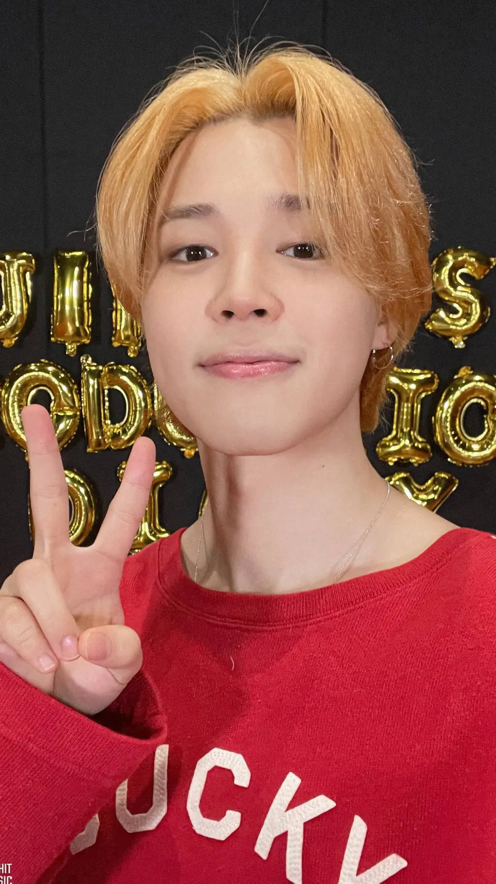 ai character: jimin background