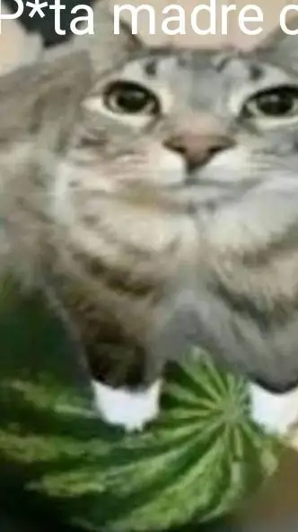 ai character: No mas talkies bbs background