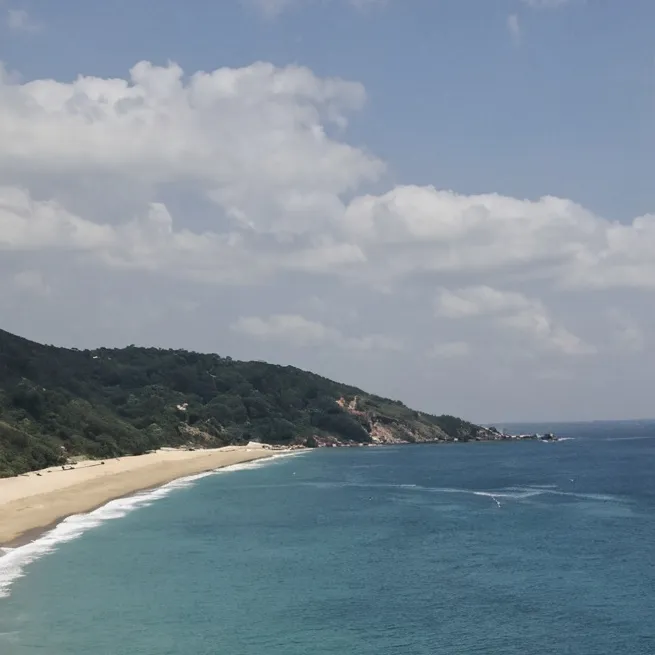 chat with ai character: Beach
