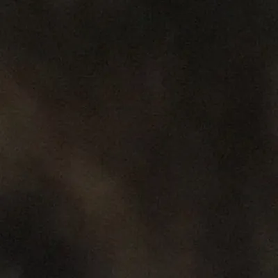 chat with ai character: Dying dog