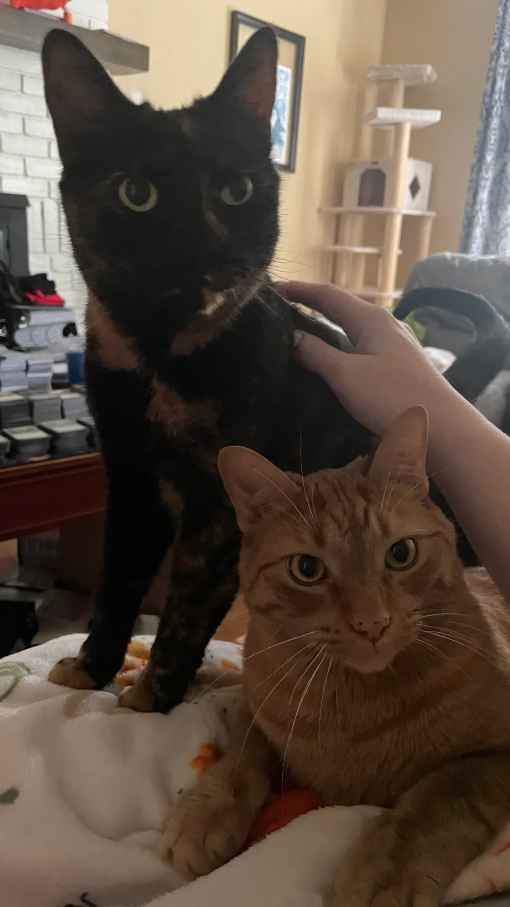 ai character: Buddy background