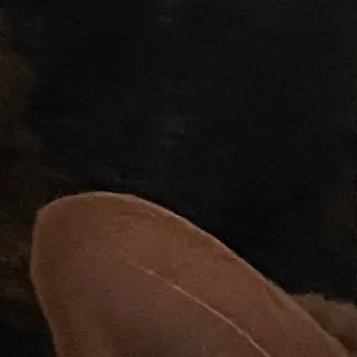 chat with ai character: Buddy