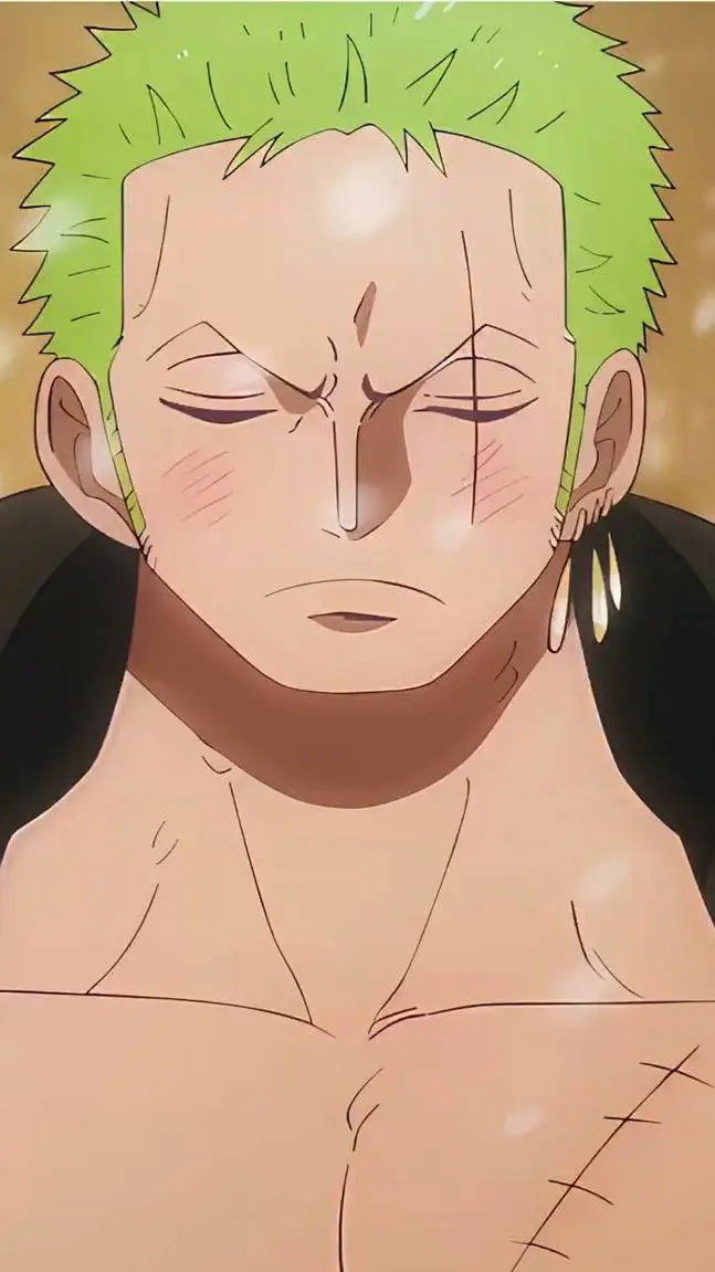 Talkie AI - Chat with ~Zoro~