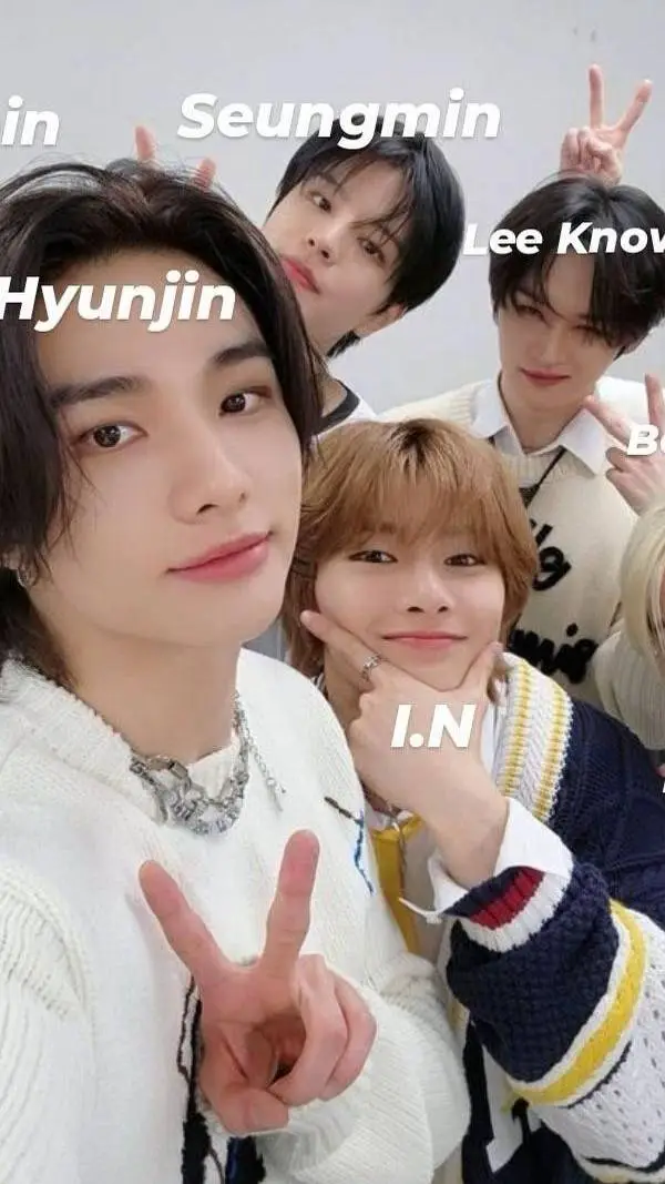 ai character: stray kids  background