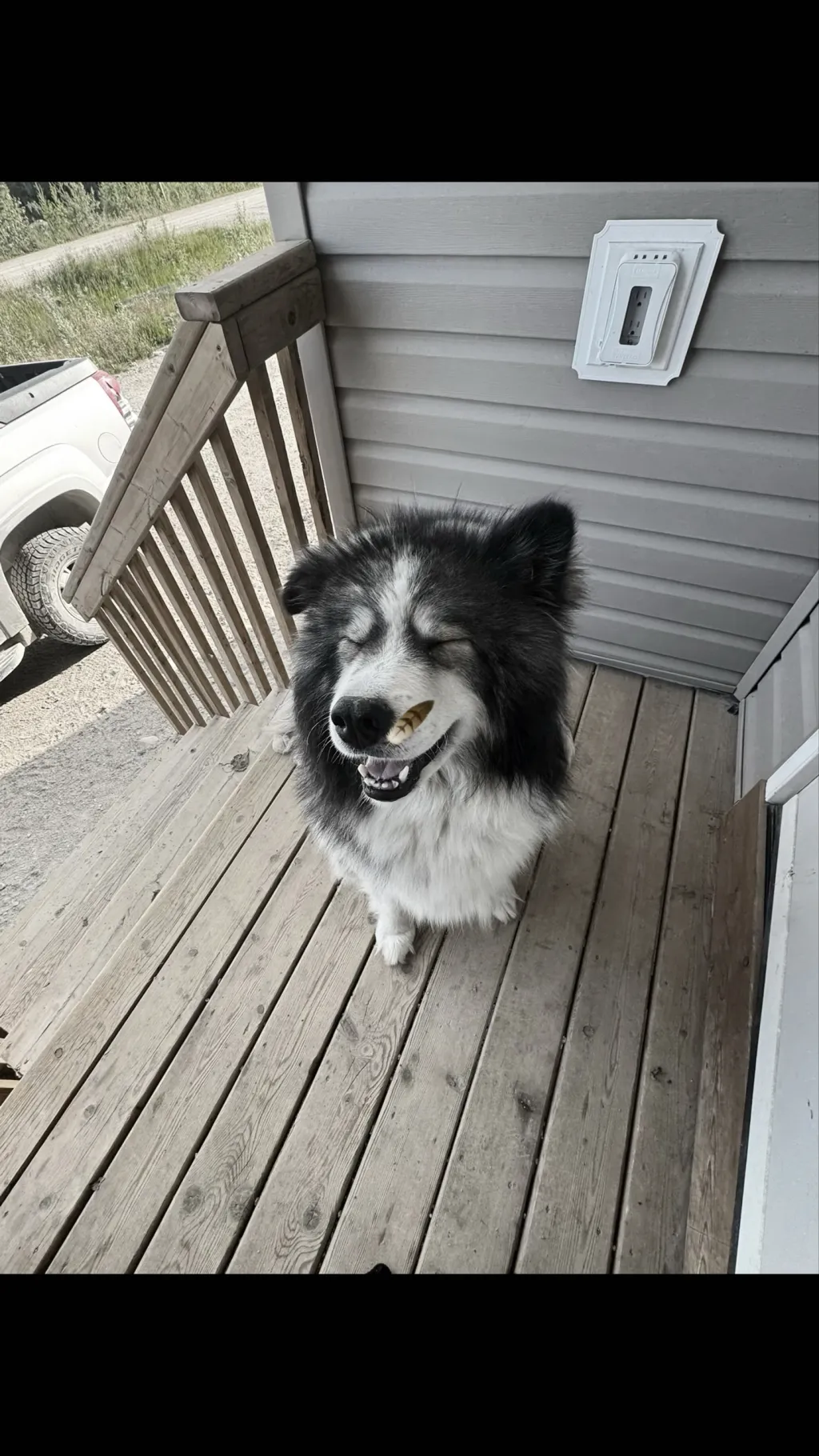 ai character: Max background