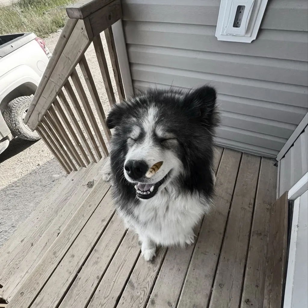 chat with ai character: Max