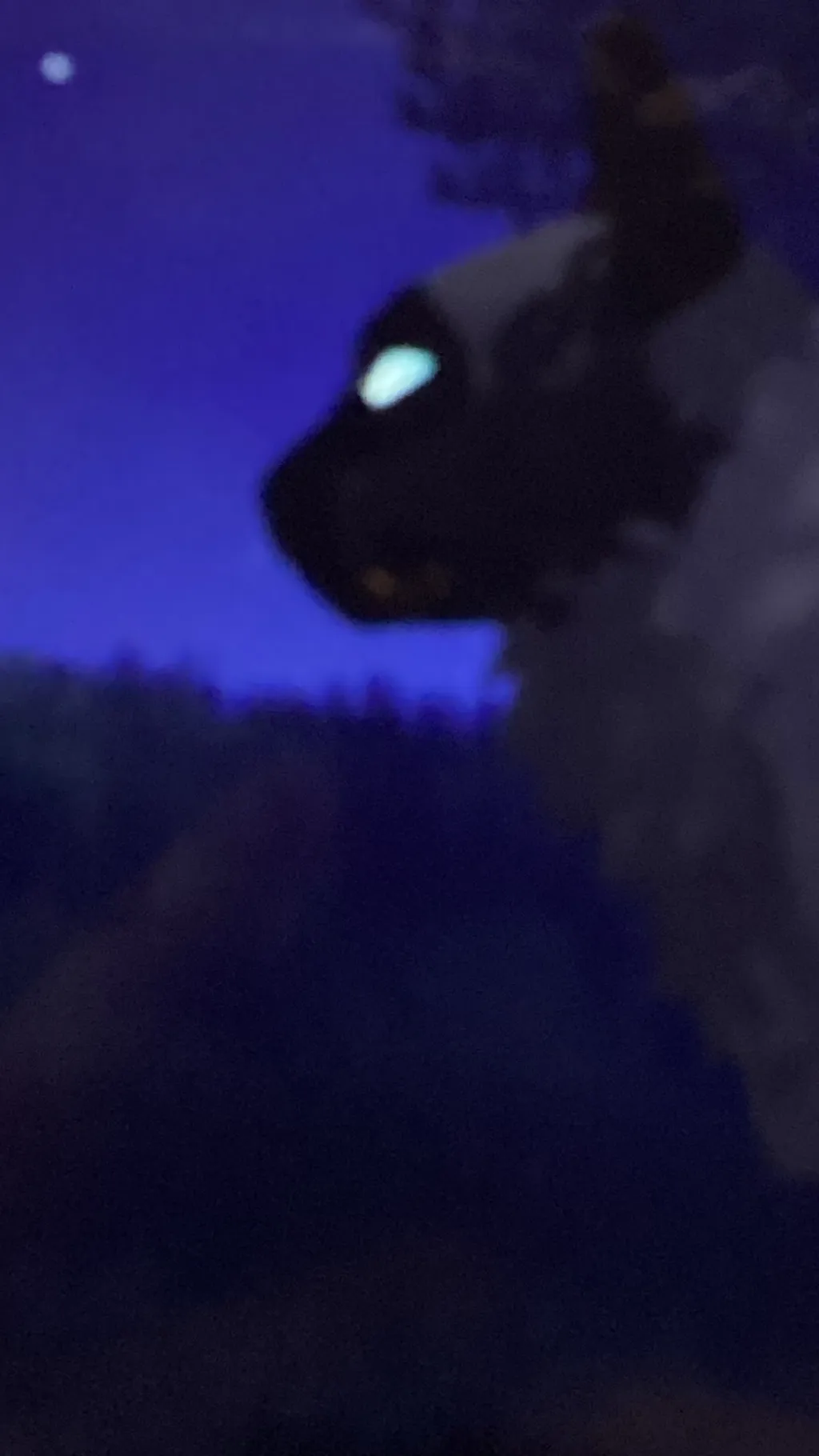 ai character: Brown paw background
