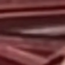 chat with ai character: Bensons parents