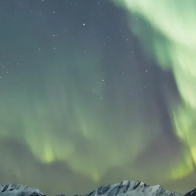 chat with ai character: The mail route 