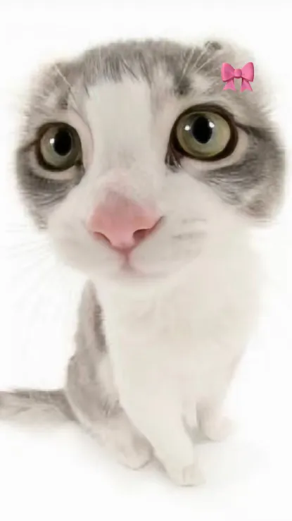 ai character: Anyone 🎀 background