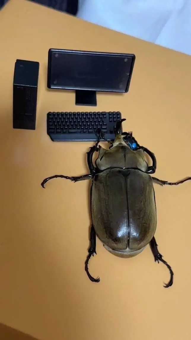 ai character: potato the beetle background